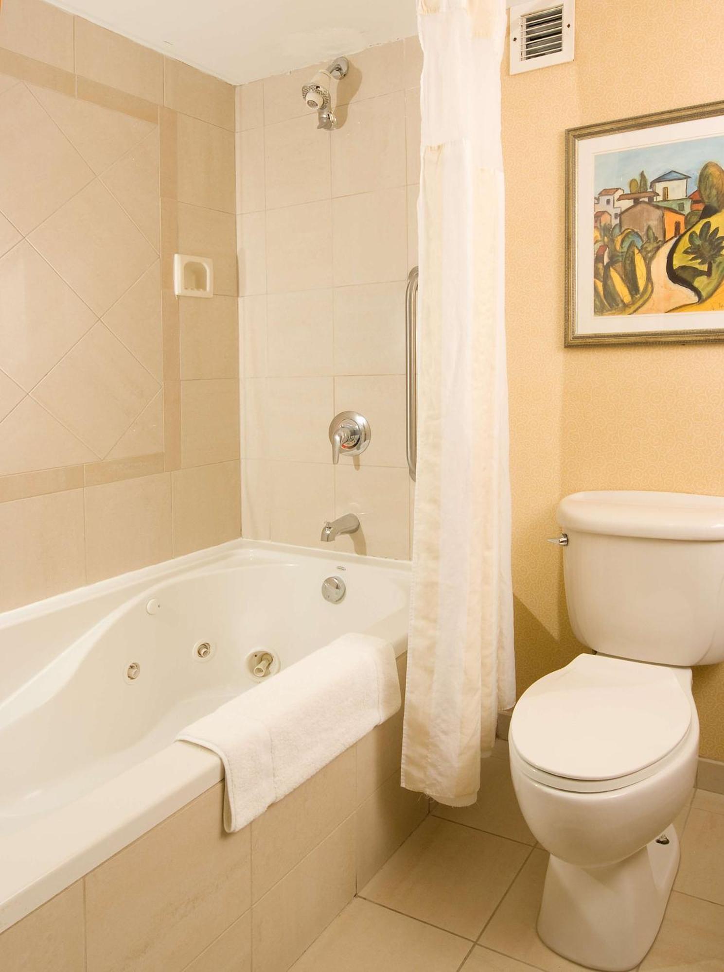 Hotel Hilton Garden Airport/millenium Center Atlanta